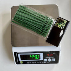 Fishbone Ribbon Green Plastic Garden Vine Strap