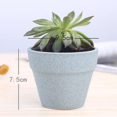 Macaron series flower pot