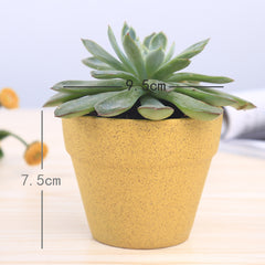 Macaron series flower pot